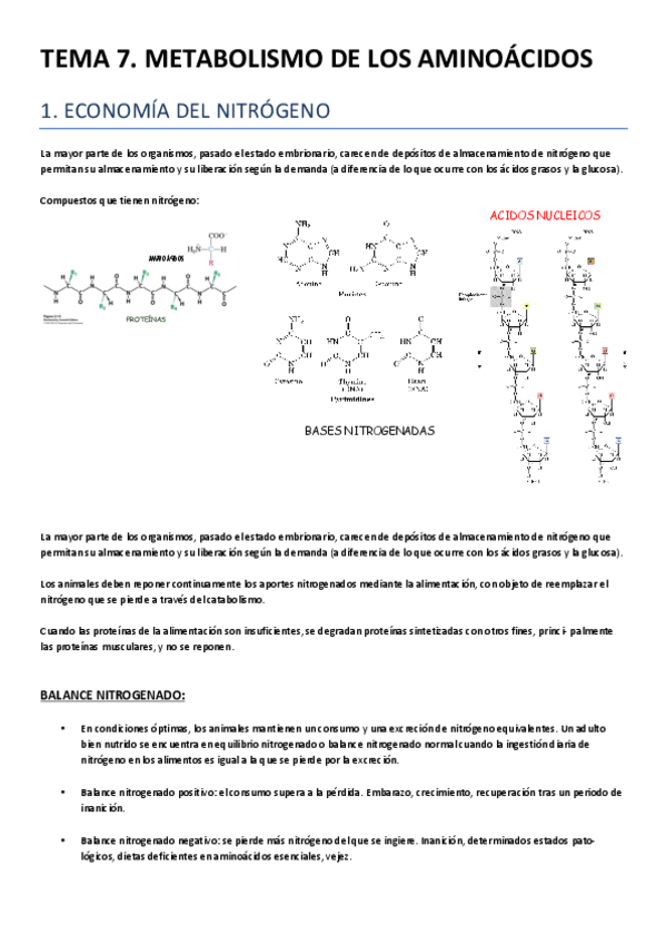 Miniatura del documento TEMA 7.pdf