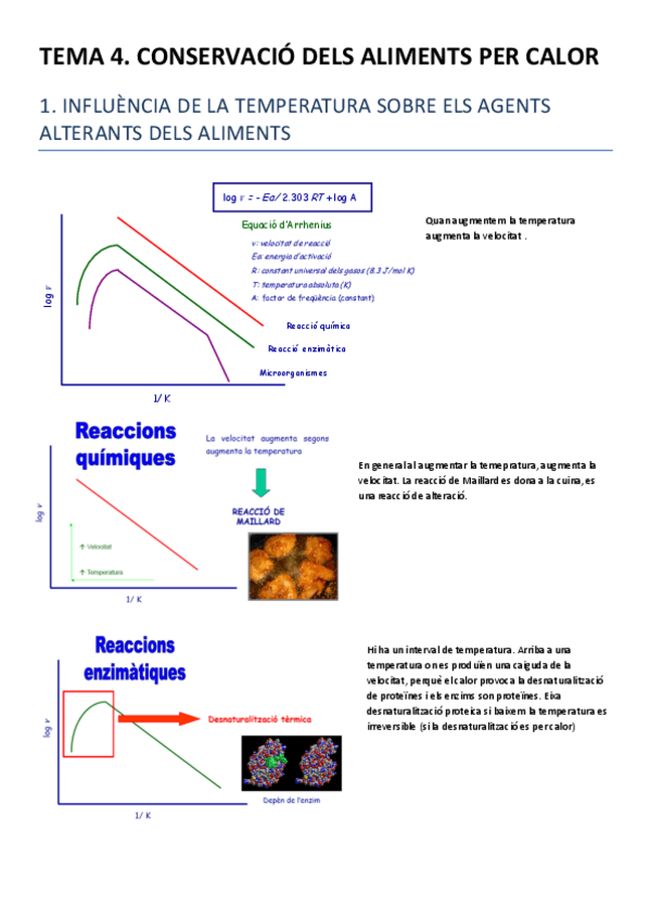 Miniatura del documento TEMA 4.pdf