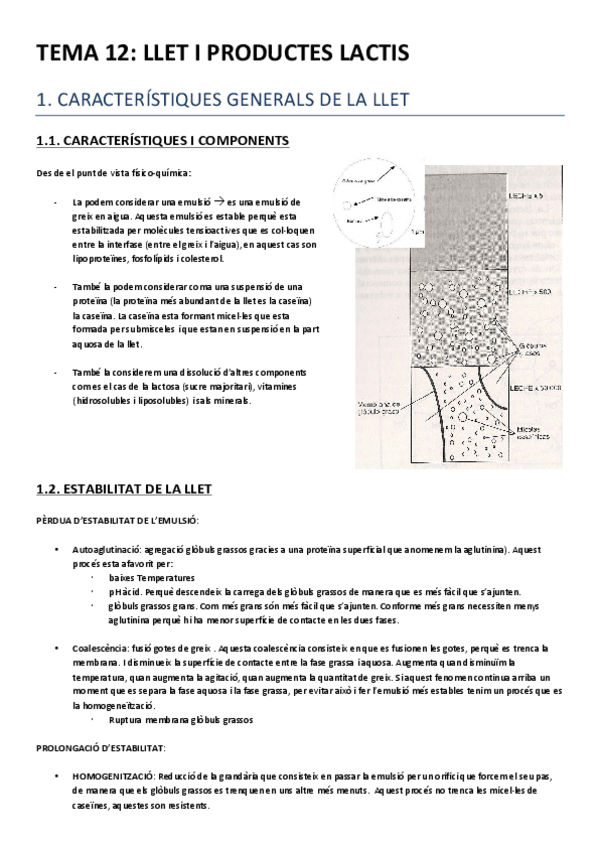 Miniatura del documento TEMA 12.pdf