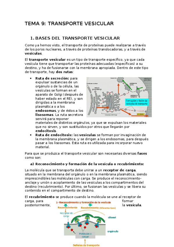 Miniatura del documento TEMA-9.docx