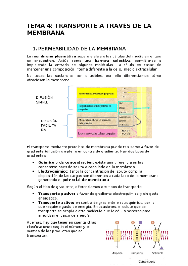 Miniatura del documento TEMA-4.docx