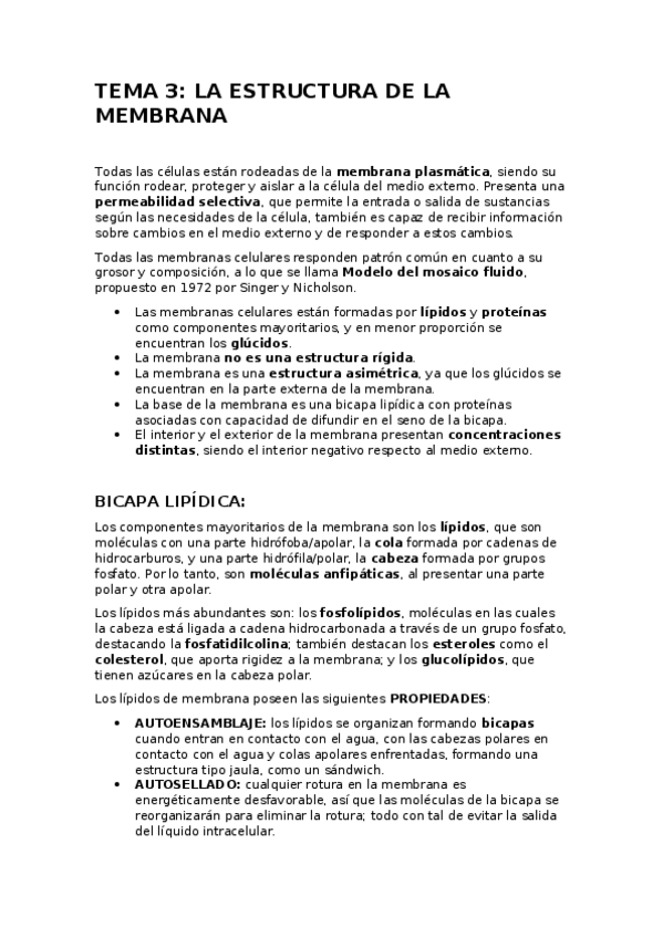 Miniatura del documento TEMA-3.docx