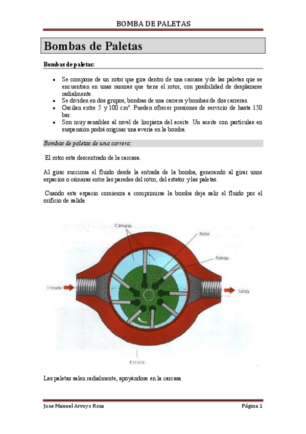 Miniatura del documento APUNTES-BOMBAS-DE-PALETAS.pdf