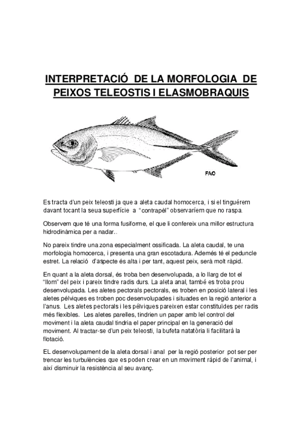 Miniatura del documento práctica peces.pdf