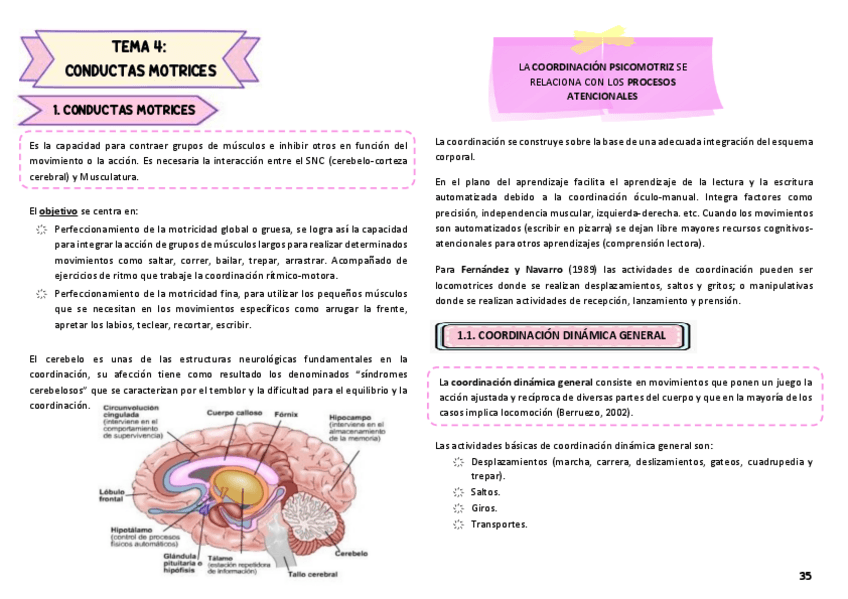 Miniatura del documento Tema-4-psicomotricidad.pdf