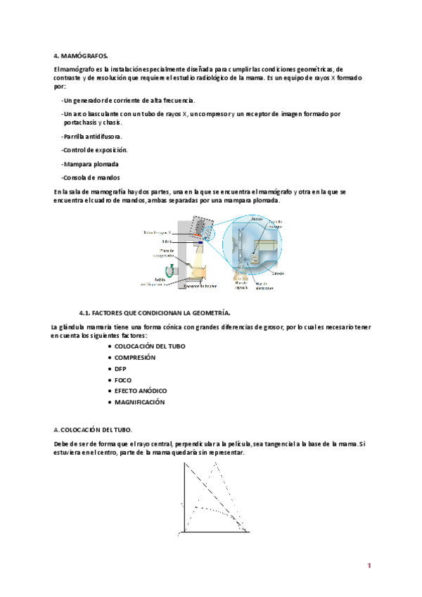Miniatura del documento Punto-4-mamografia-.pdf