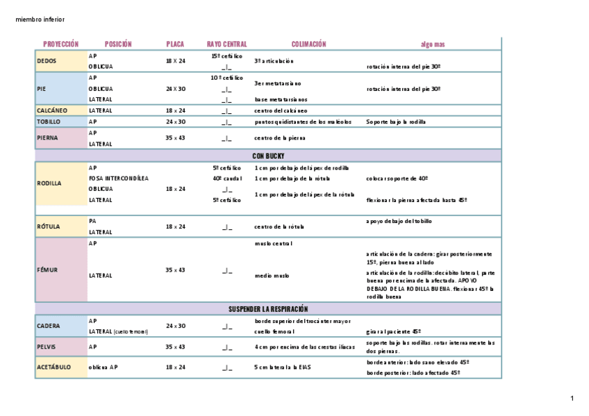 Miniatura del documento miembro-inferior-Hoja-1-2.pdf