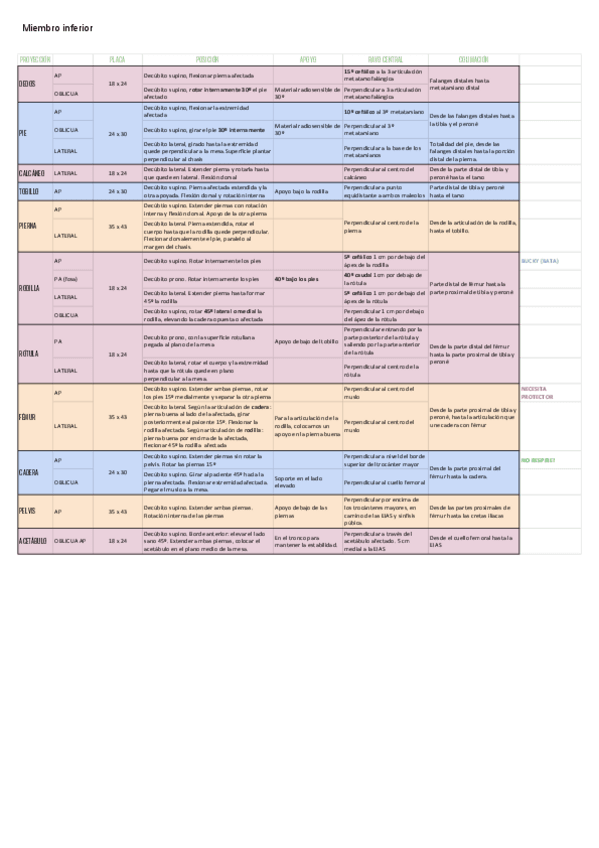 Miniatura del documento Miembro-inferior-Hoja-2.pdf