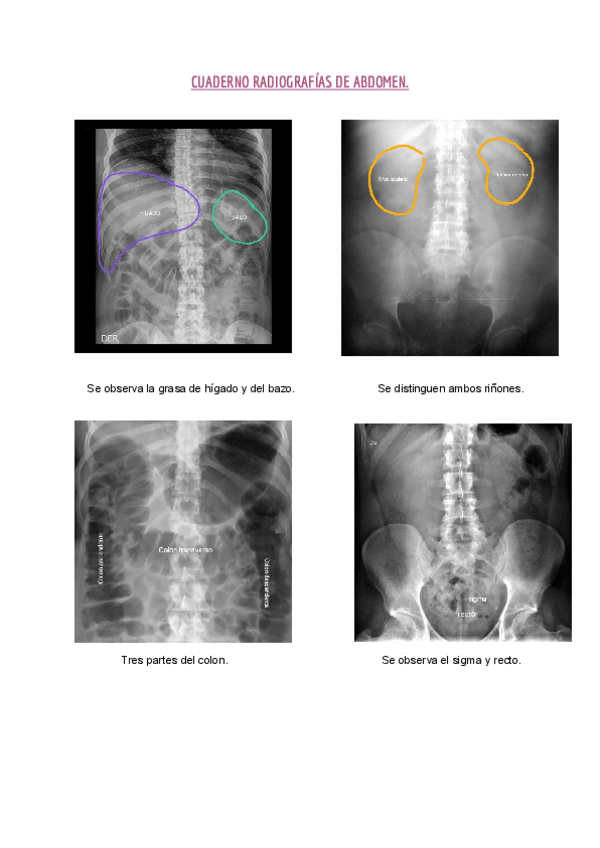 Miniatura del documento Cuaderno-abdomen-HLC.pdf