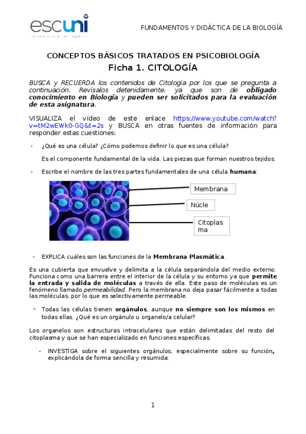 Miniatura del documento FICHA-1.docx