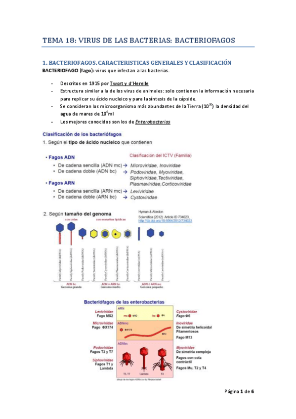 Miniatura del documento TEMA_18_MICRO_I_RODELAS.pdf