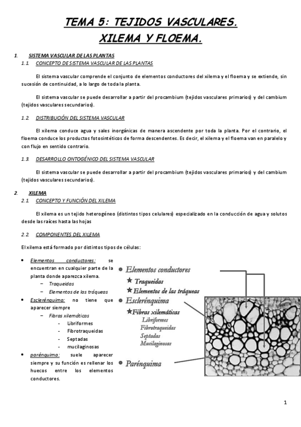 Miniatura del documento TEMA-5.pdf