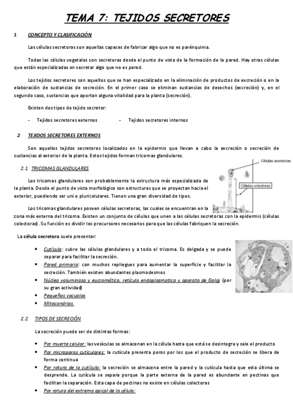 Miniatura del documento TEMA-7.pdf