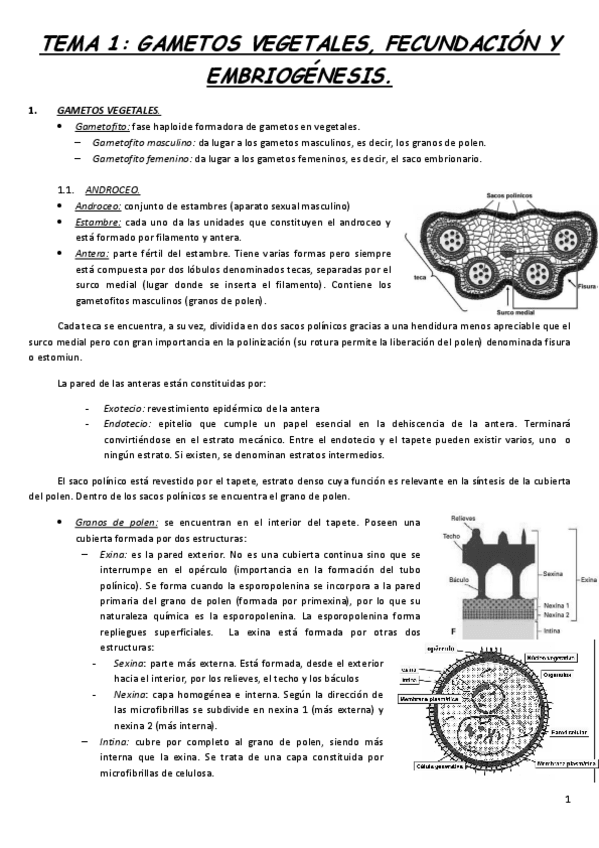 Miniatura del documento TEMA-1.pdf