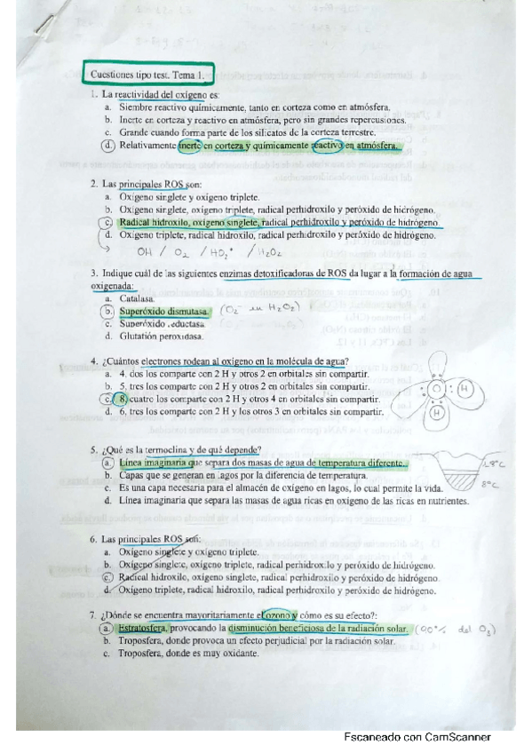 Miniatura del documento test-ambiental.pdf