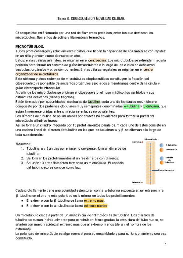 Miniatura del documento TEMA-5-bio.pdf