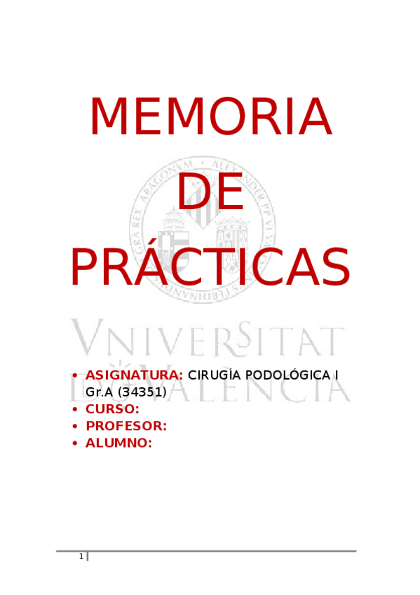 Miniatura del documento MEMORIA-DE-PRACTICAS.docx