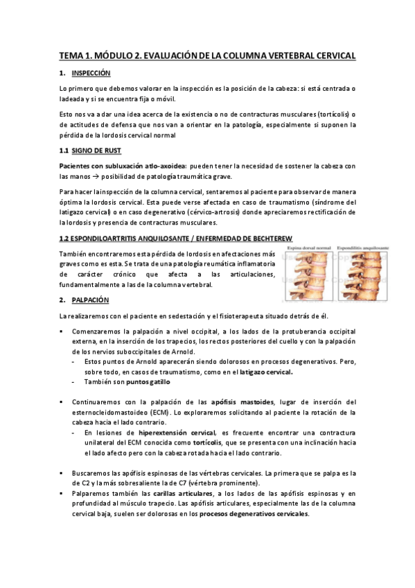Miniatura del documento MODULO-2-VALORACION.pdf
