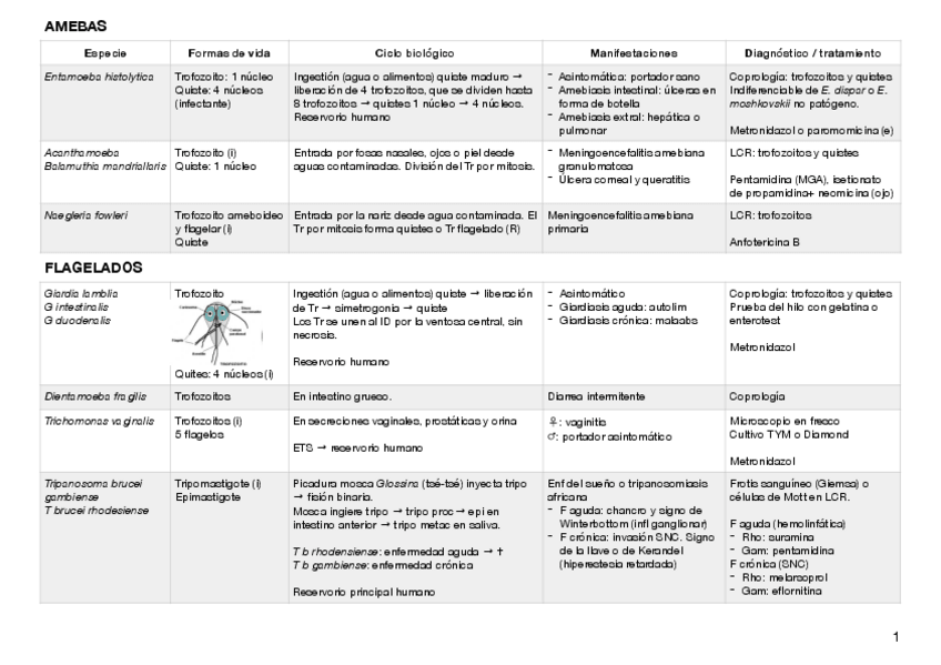 Miniatura del documento tabla-para.pdf