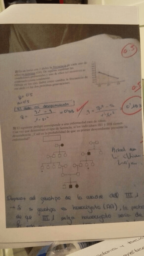 Miniatura del documento IMG-20150529-WA0002 (2).jpg