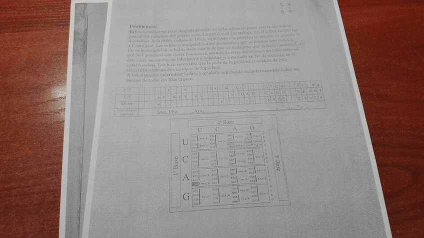 Miniatura del documento IMG-20160404-WA0033.jpg