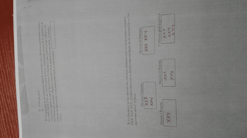 Miniatura del documento IMG-20160404-WA0034.jpg