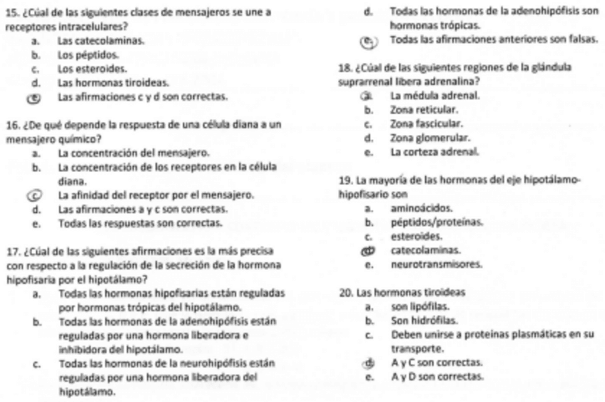 Miniatura del documento tipotest4.pdf