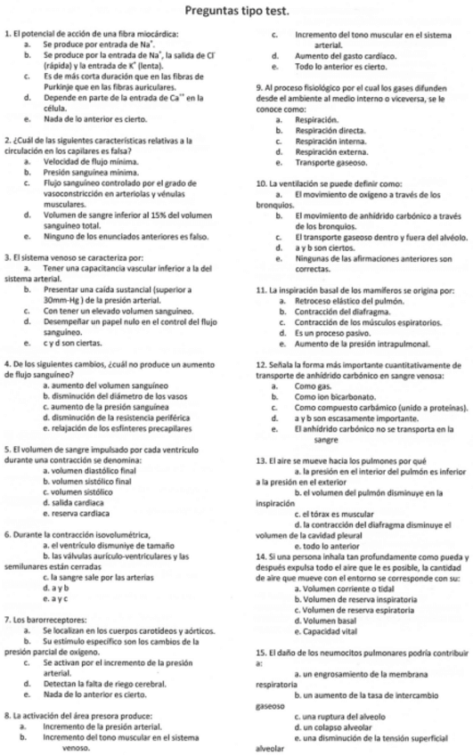 Miniatura del documento tipotest1.pdf