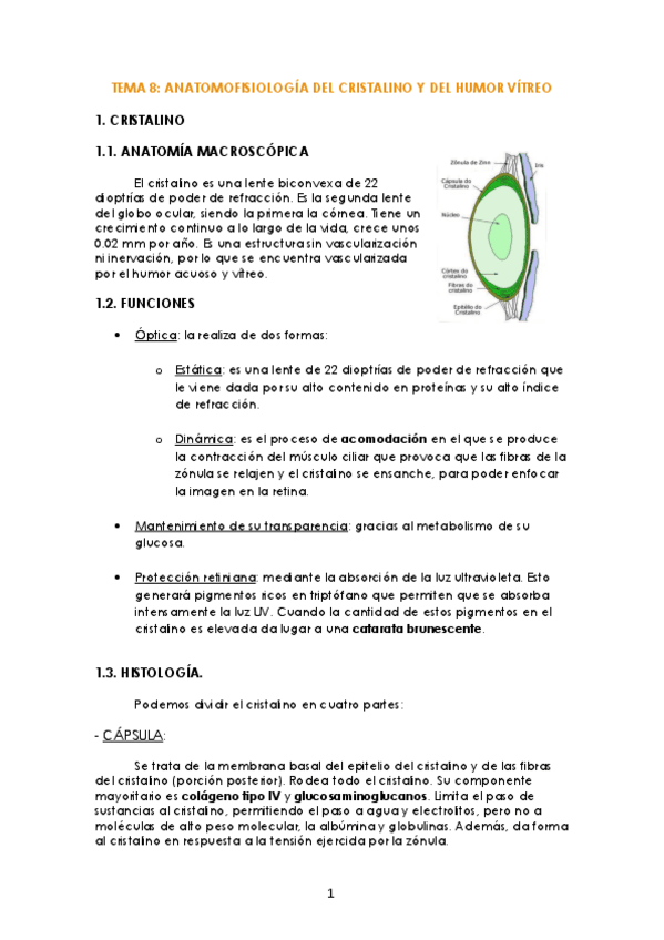 Miniatura del documento TEMA-8-Cristalino-y-humor-vitreo.pdf