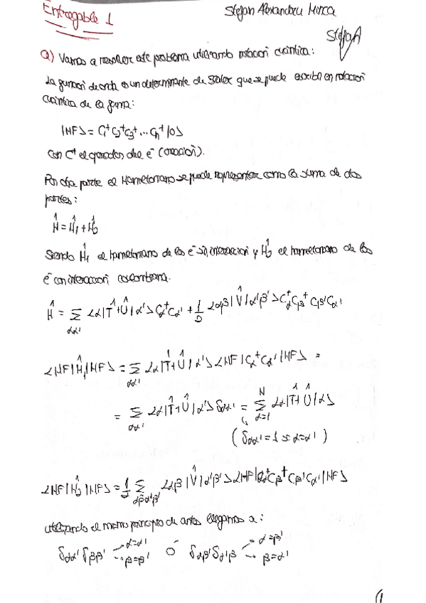 Miniatura del documento Entregables-hoja-1.pdf