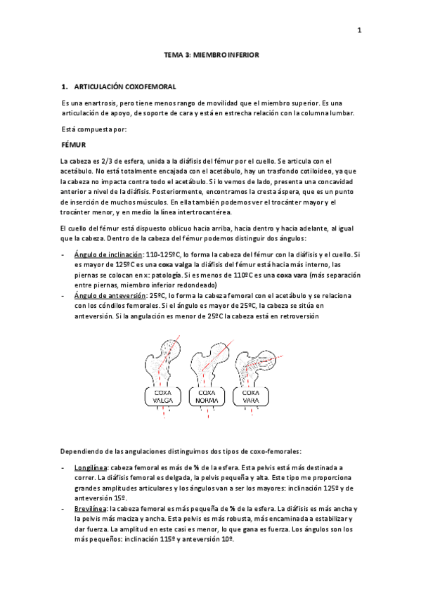 Miniatura del documento Miembro-inferior.pdf