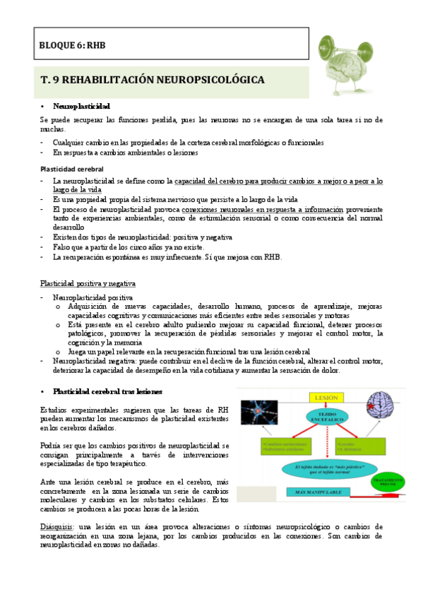 Miniatura del documento BLOQUE VI. RHB.pdf
