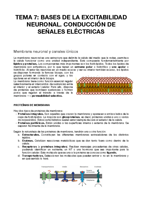 Miniatura del documento TEMA-7-PSICOBIOLOGIA.pdf