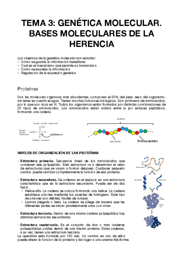 Miniatura del documento TEMA-3-PSICOBIOLOGIA.pdf