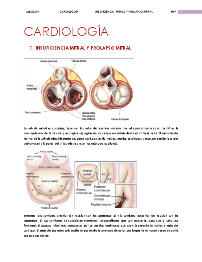 Miniatura del documento CARDIOLOGÍA 1.pdf