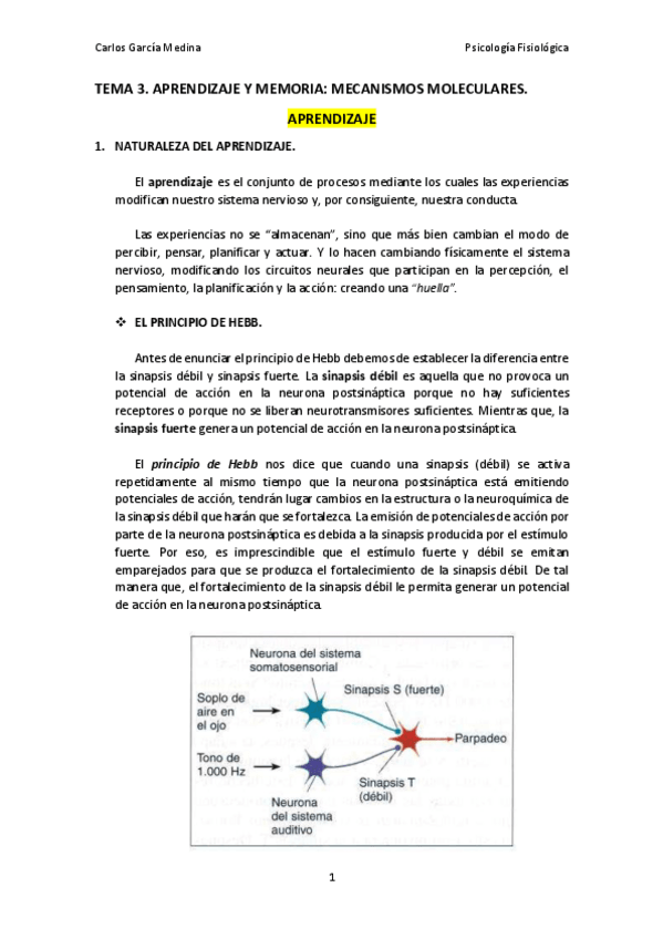 Miniatura del documento Tema3_AprendizajeyMemoria.pdf