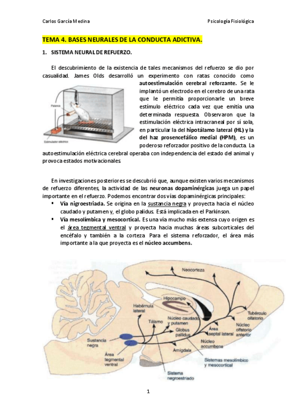 Miniatura del documento Tema4a_ConductaAdictiva.pdf