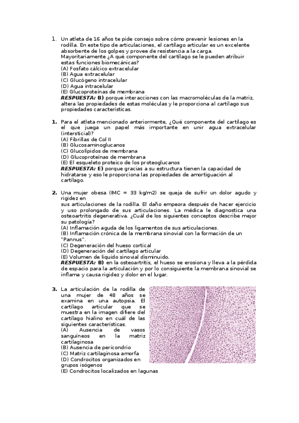 Miniatura del documento Cuestiones-Tema-4.docx