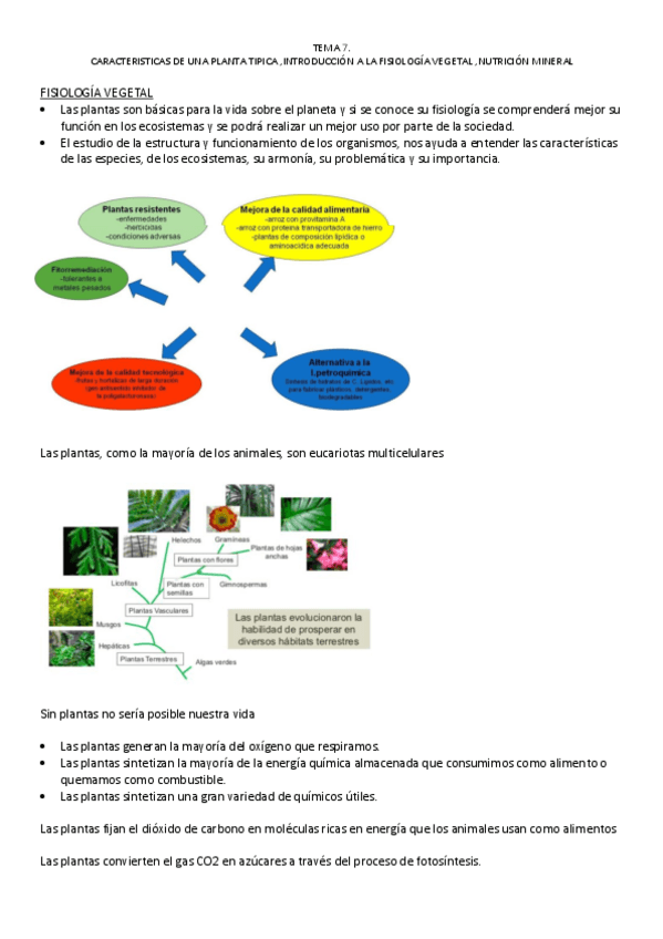 Miniatura del documento biologia.pdf