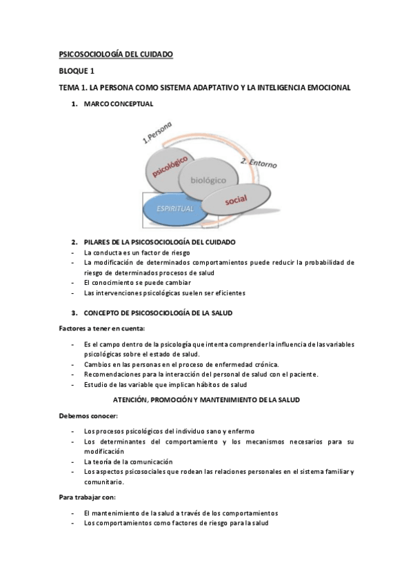 Miniatura del documento TEMA-1.pdf