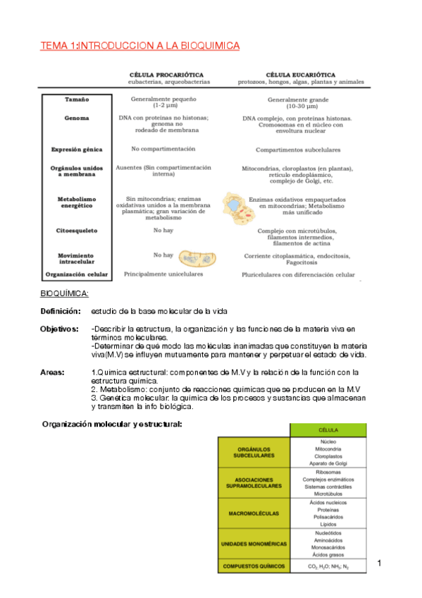 Miniatura del documento BIOQUIMICA-T1-T10.pdf