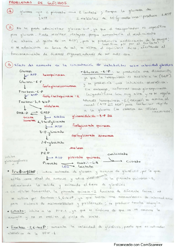 Miniatura del documento Problemas.pdf