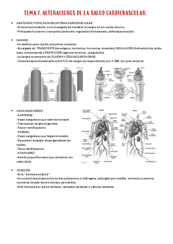 Miniatura del documento TEMA-7.pdf