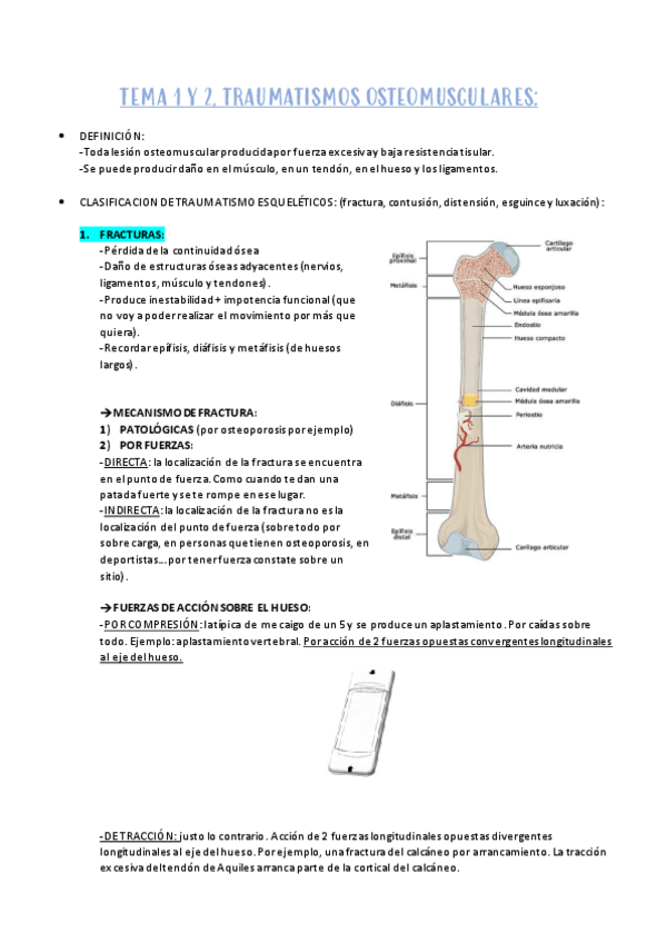 Miniatura del documento TEMA-1-Y-2.pdf