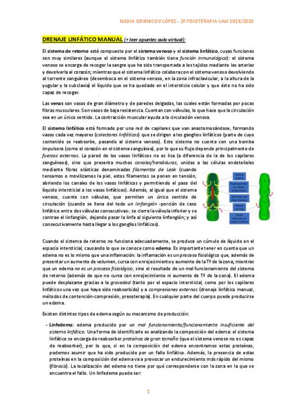 Miniatura del documento NADIA-GRIBNICOV-DLM-Y-METODOS-DE-CONTENCION-COMPRESION.pdf