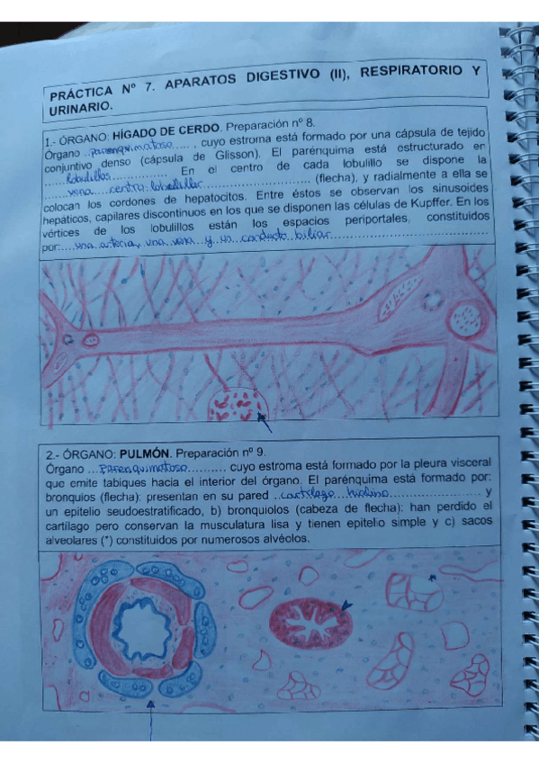 Miniatura del documento Cuaderno-de-practicas-nota-10.pdf