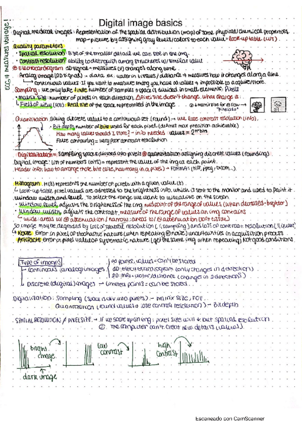 Miniatura del documento Introduction-to-bioengineering.pdf