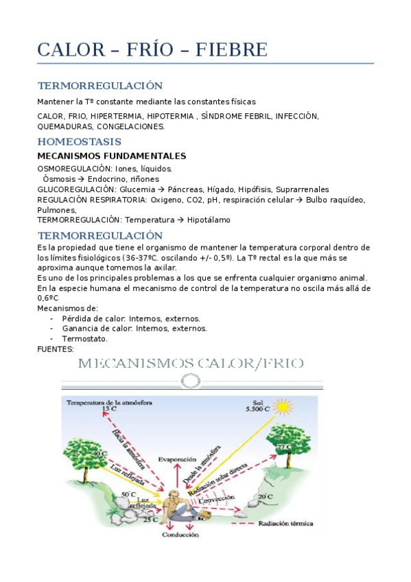 Miniatura del documento 3CALOR.docx
