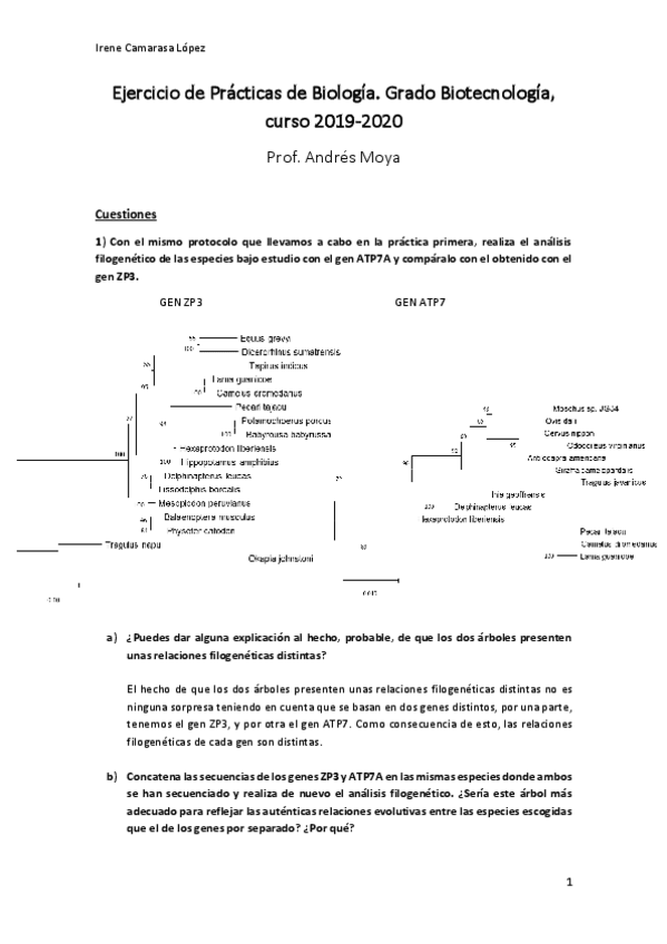 Miniatura del documento Practicas-Biologia.pdf