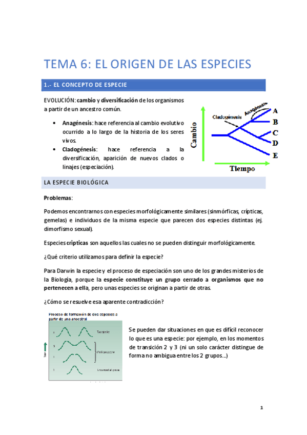 Miniatura del documento TEMA-6.pdf